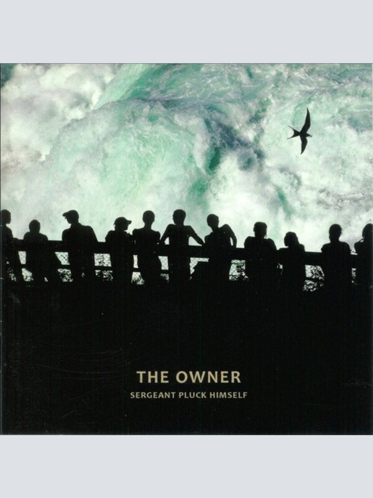 CD, Album Sergeant Pluck Himself - The Owner