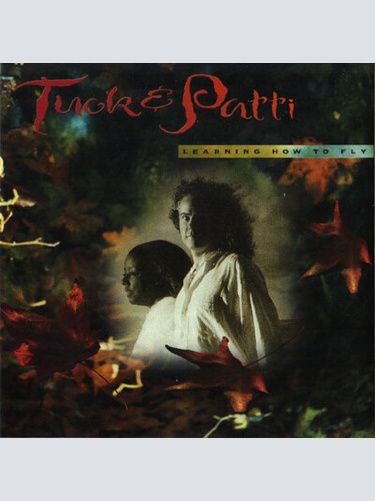 CD, Album Tuck & Patti - Learning How To Fly