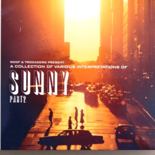 CD, Comp, Dig Various - A Collection Of Various Interpretations Of Sunny Part 2