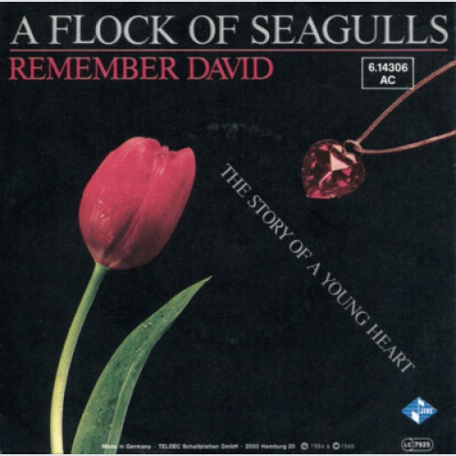 7", Single A Flock Of Seagulls - Remember David