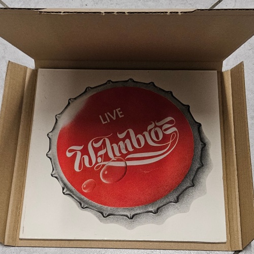 100 Stk. LP Versandkartons für 1-4  Vinyl Schallplatten LPs 325x325x15 mm stark