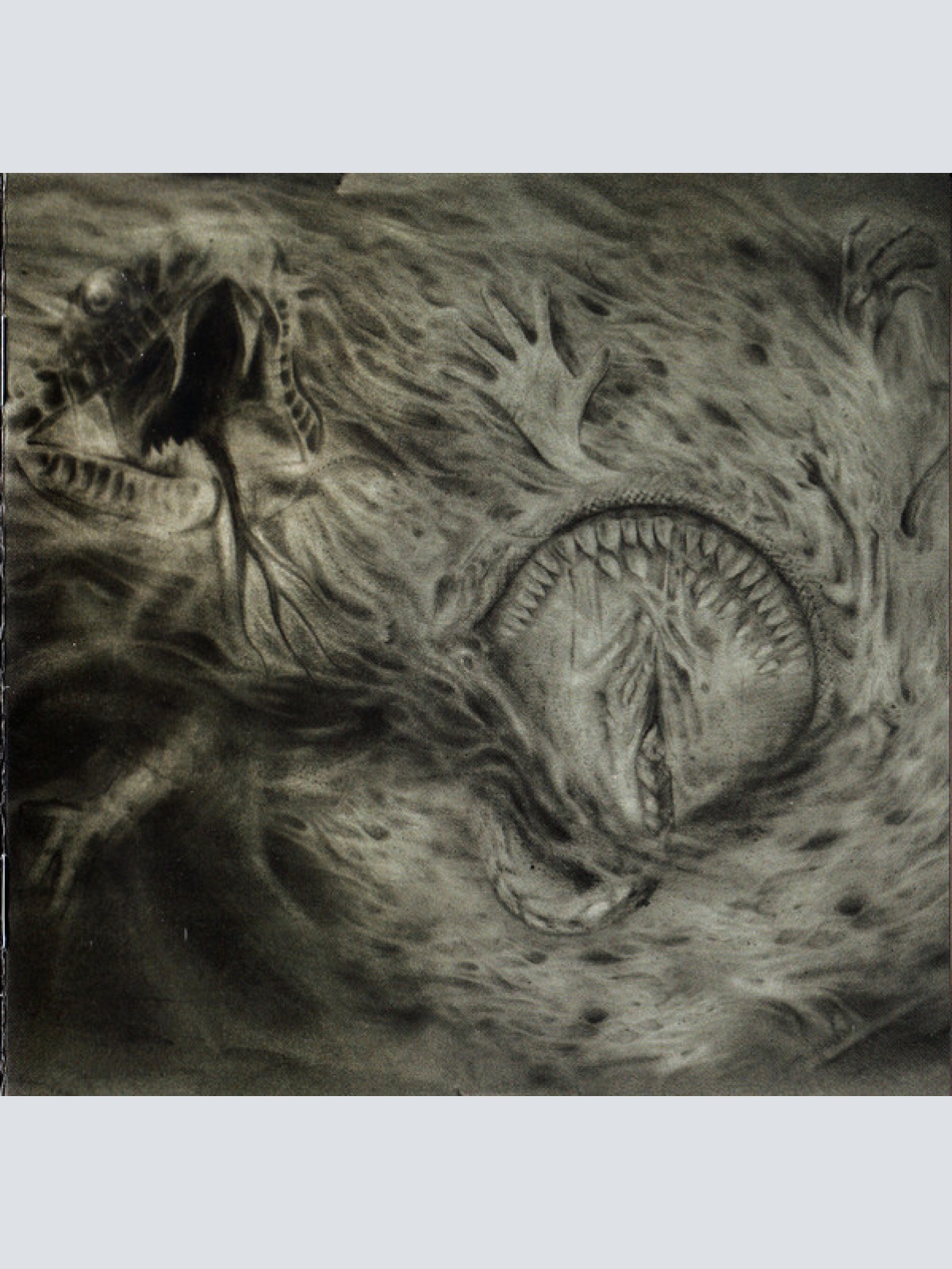 CD, Album Nidsang - Into The Womb Of Dissolving Flames