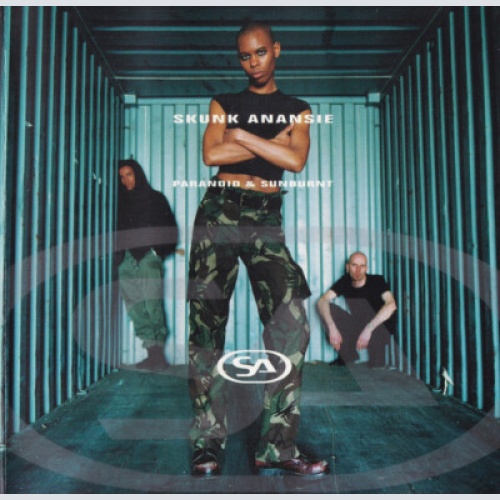 CD, Album Skunk Anansie - Paranoid & Sunburnt