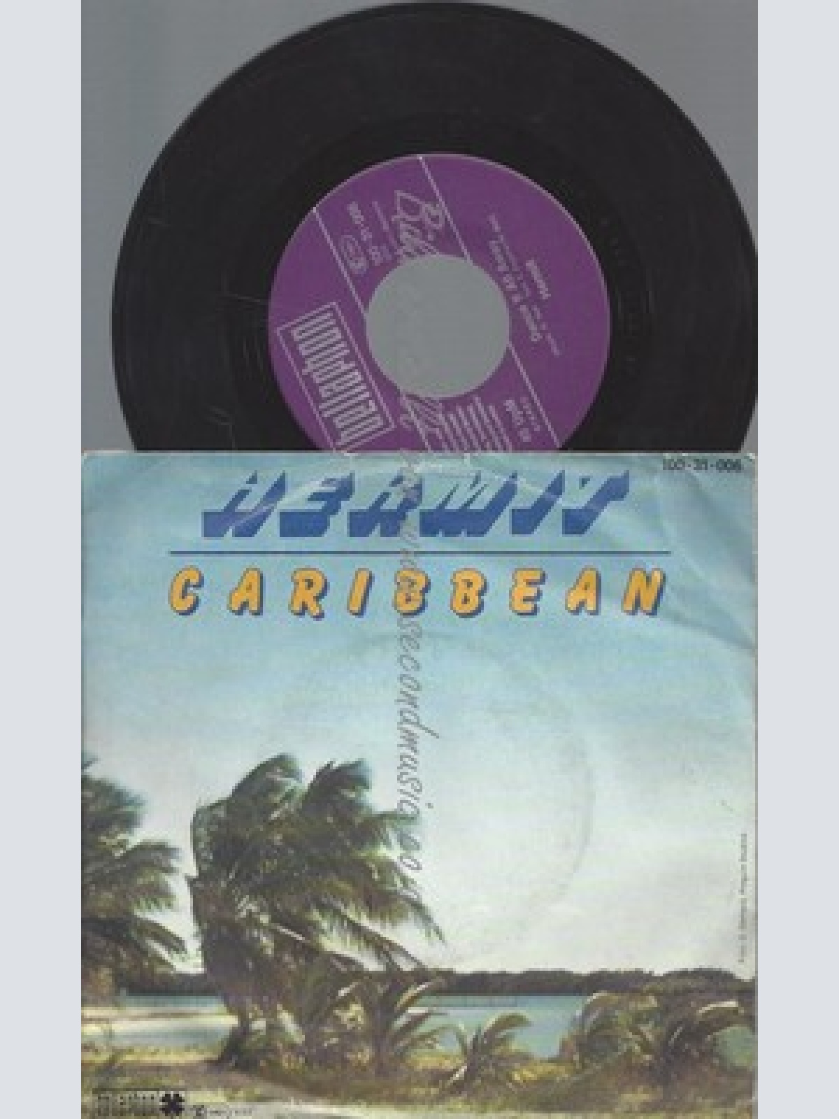 7"HERMIT--CARRIBEAN
