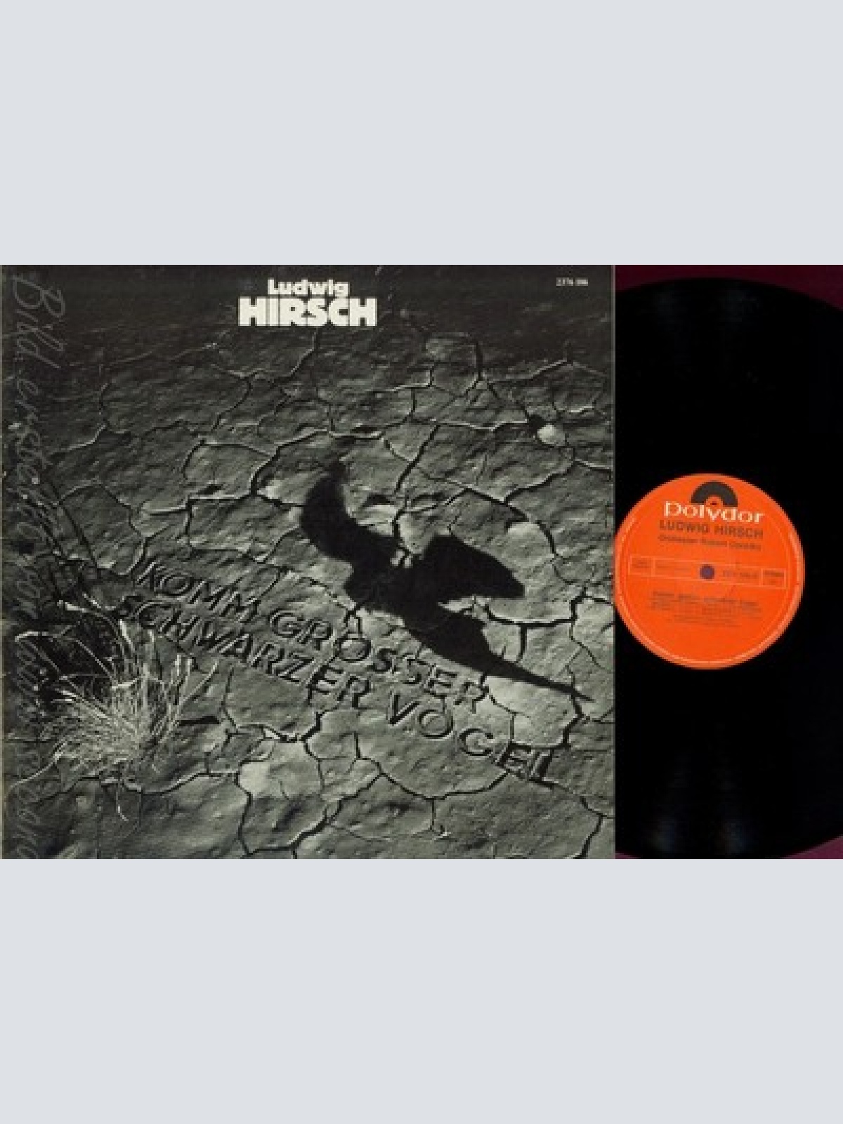 LP--LUDWIG HIRSCH--KOMM GROSSER SCHWARZER VOGEL--FOC--