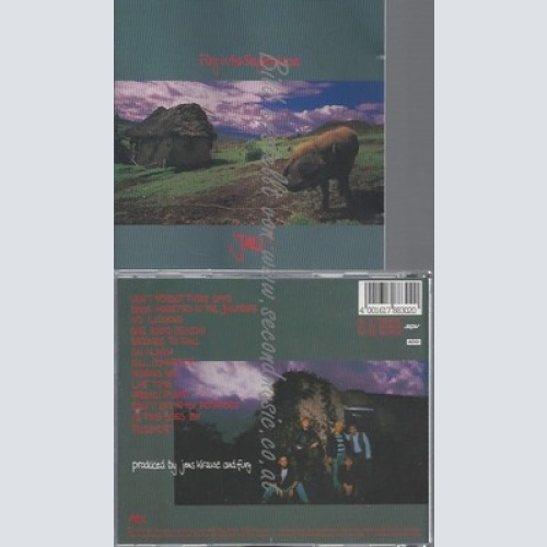 CD--FURY IN THE SLAUGHTERHOUSE -- -- JAU