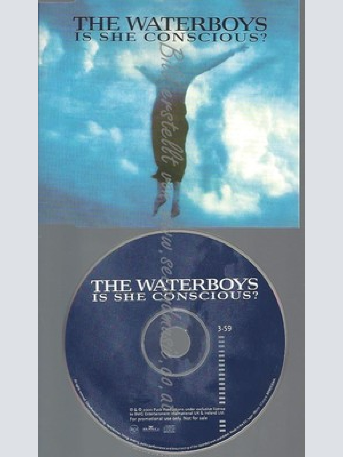 CD--PROMO--THE WATERBOYS--IS SHE CONSCIOUS--1TR