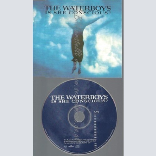 CD--PROMO--THE WATERBOYS--IS SHE CONSCIOUS--1TR