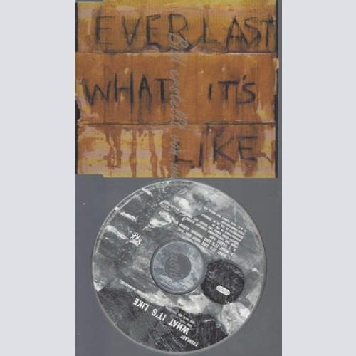 CD--EVERLAST -- - SINGLE -- WHAT IT'S LIKE