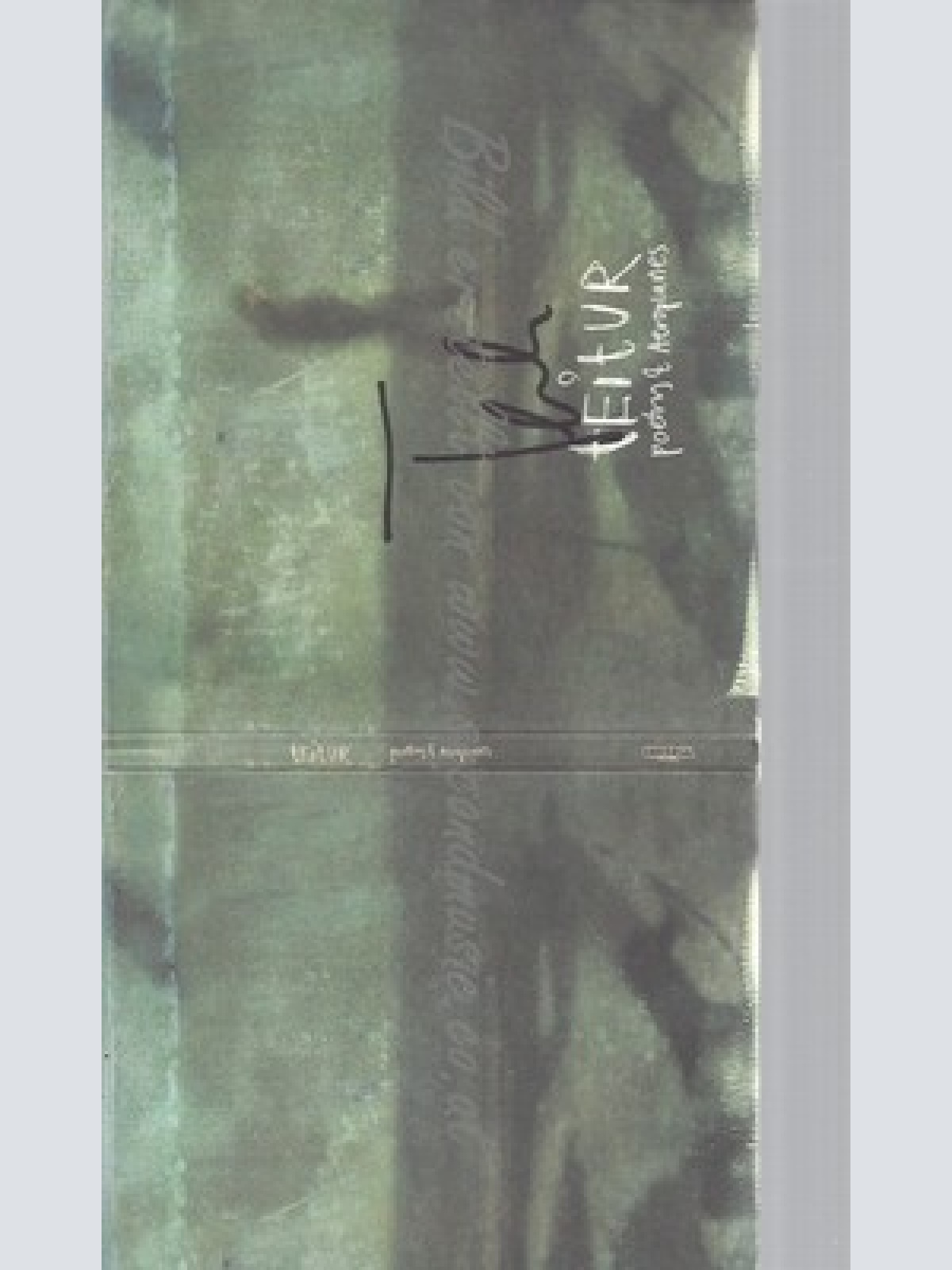 CD--TEITUR -- -- POETRY & AEROPLANES