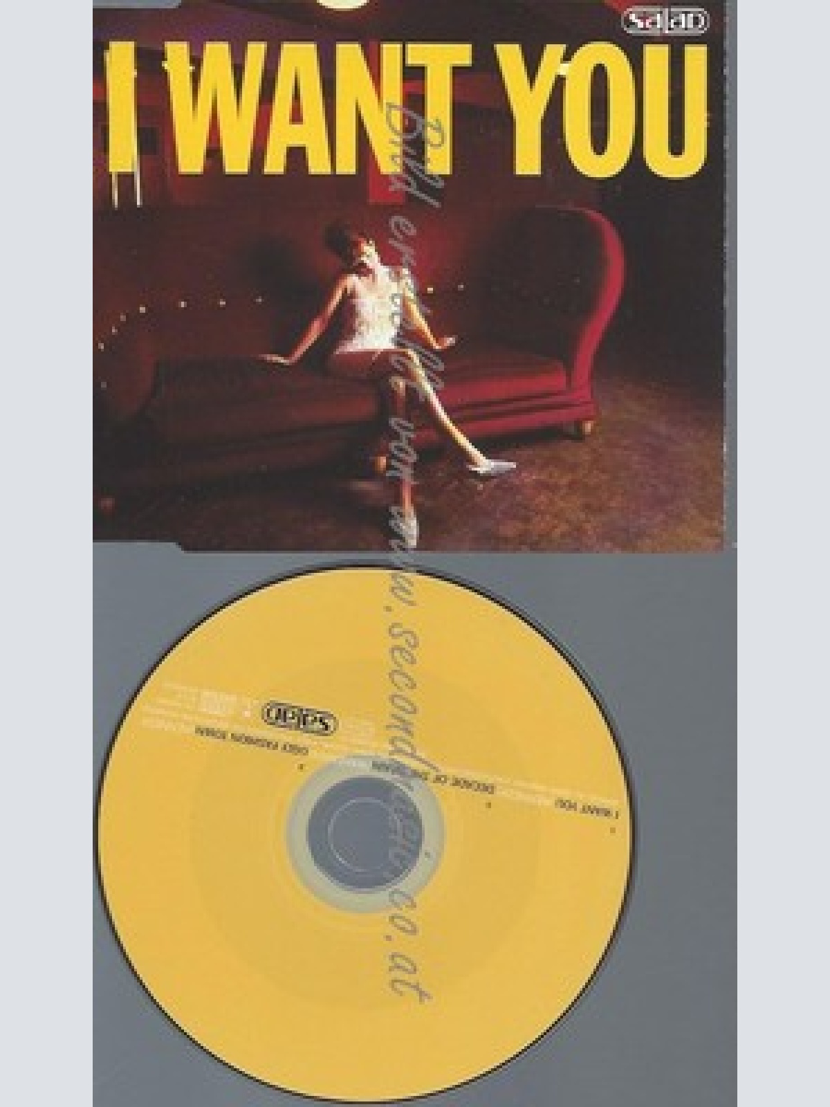 CD--SALAD--*I WANT YOU*