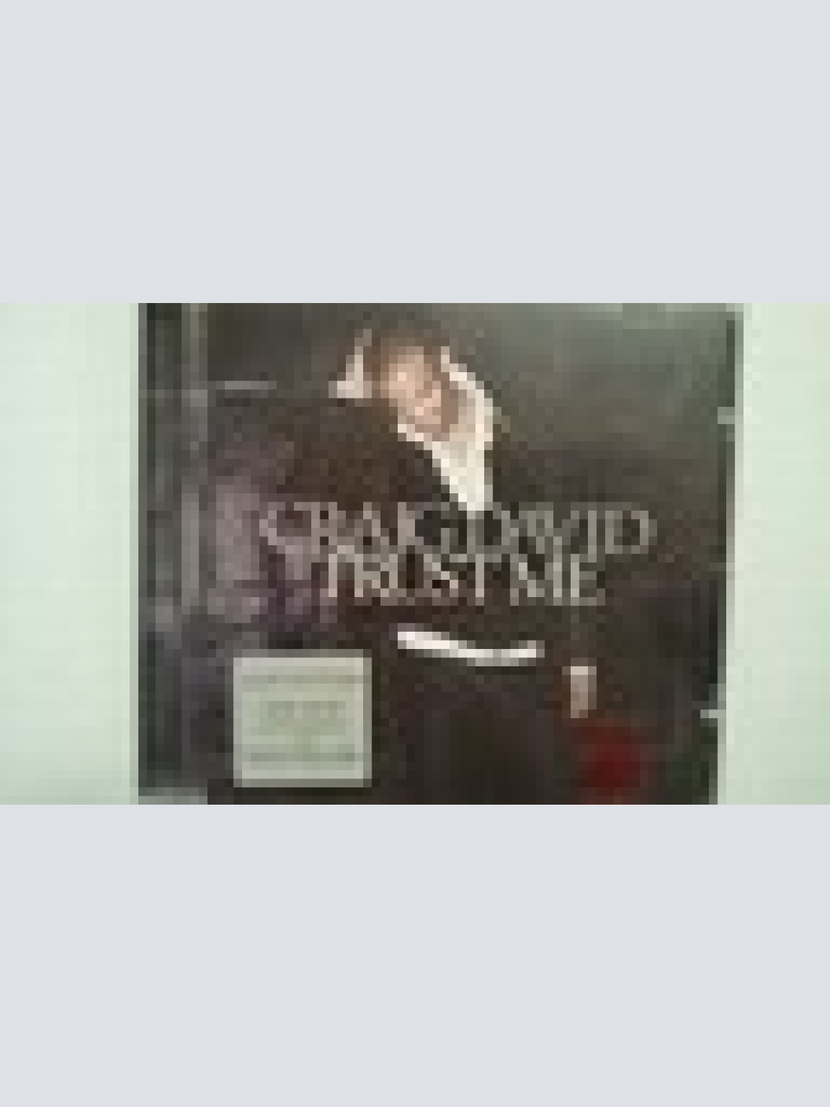 CD-- CRAIG DAVID -- TRUST ME -- ALBUM