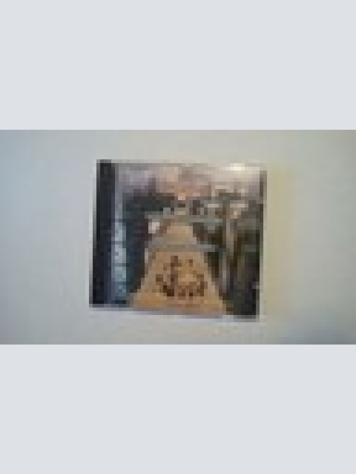 CD- PRINCE & THE NEW POWER GENERATION:-- --ALBUM