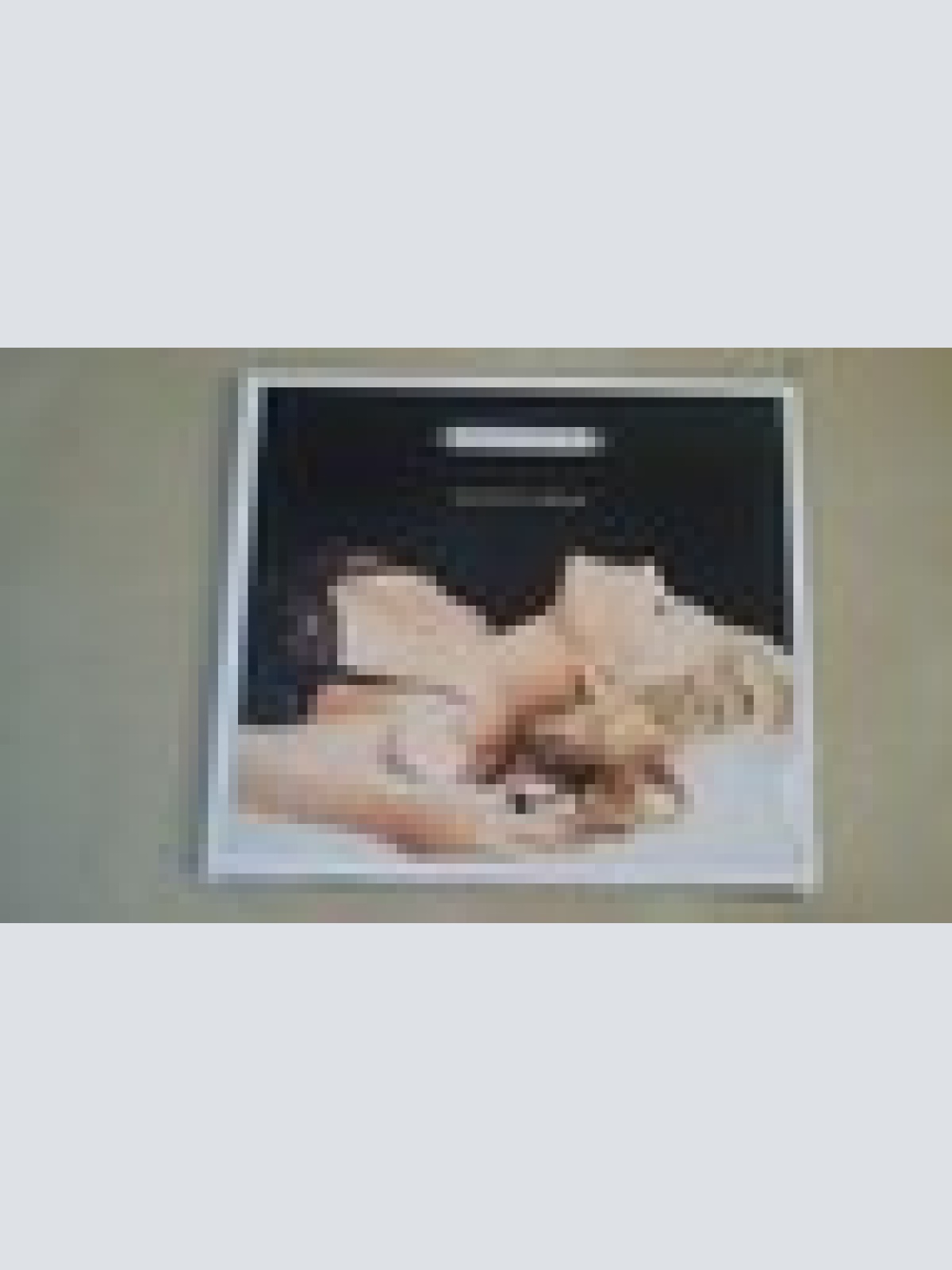 CD--ANASTACIA--PIECES OF A DREAM ---DIGI --ALBUM