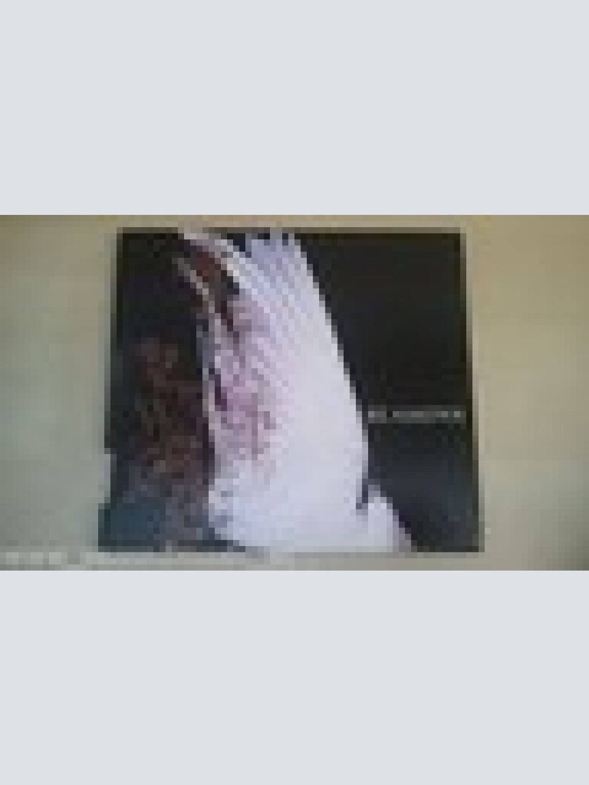 CD--REAMONN --WISH --DIGI--ALBUM