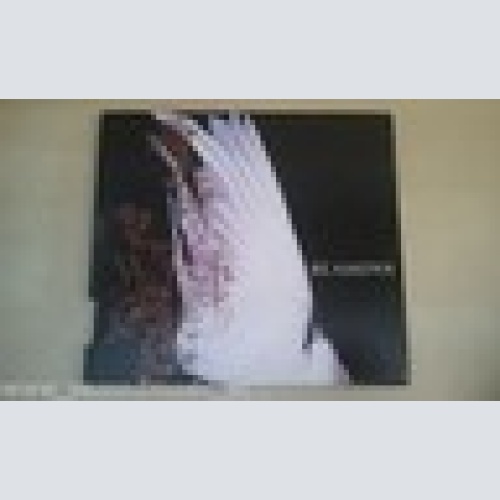 CD--REAMONN --WISH --DIGI--ALBUM