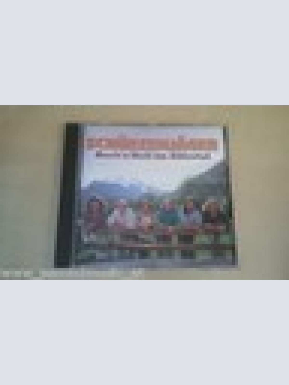 CD--SCHÜRZENJÄGER--ROCK N ROLL IM ZILLERTAL ----ALBUM