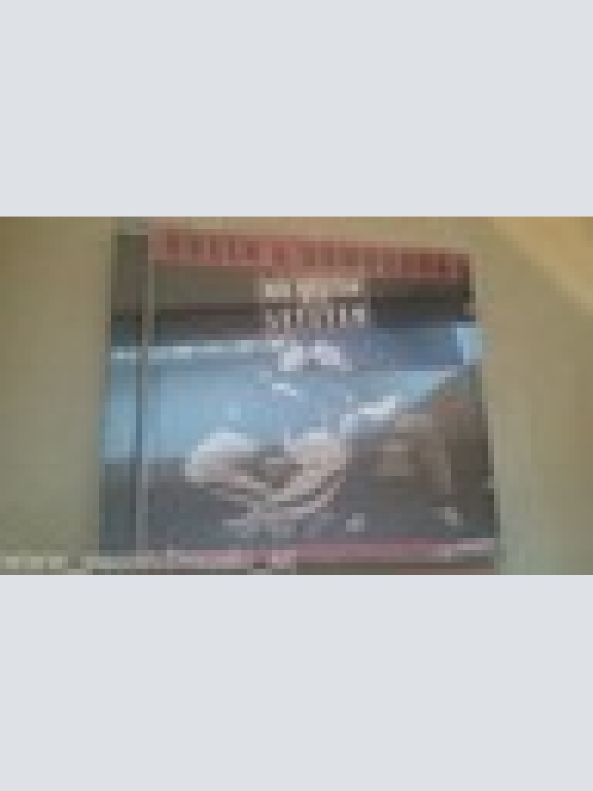 CD--ROSEN & GOMORRHA--DIE BESTEN VON DEN LETZTEN-ALBUM