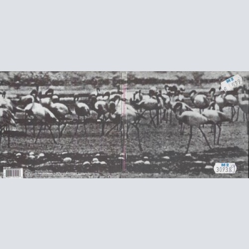 CD--KELLARISSA -- -- FLAMINGO