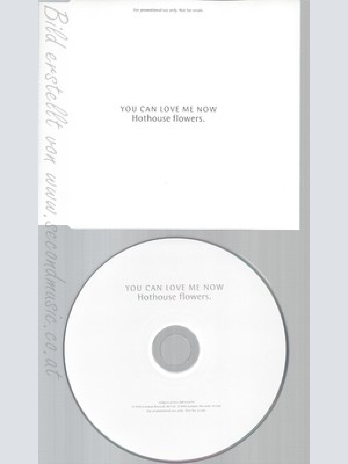 CD--HOTHOUSE FLOWERS--YOU CAN LOVE ME NOW--PROMO