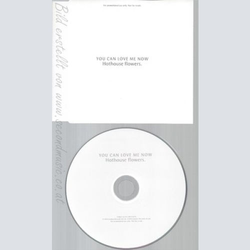 CD--HOTHOUSE FLOWERS--YOU CAN LOVE ME NOW--PROMO