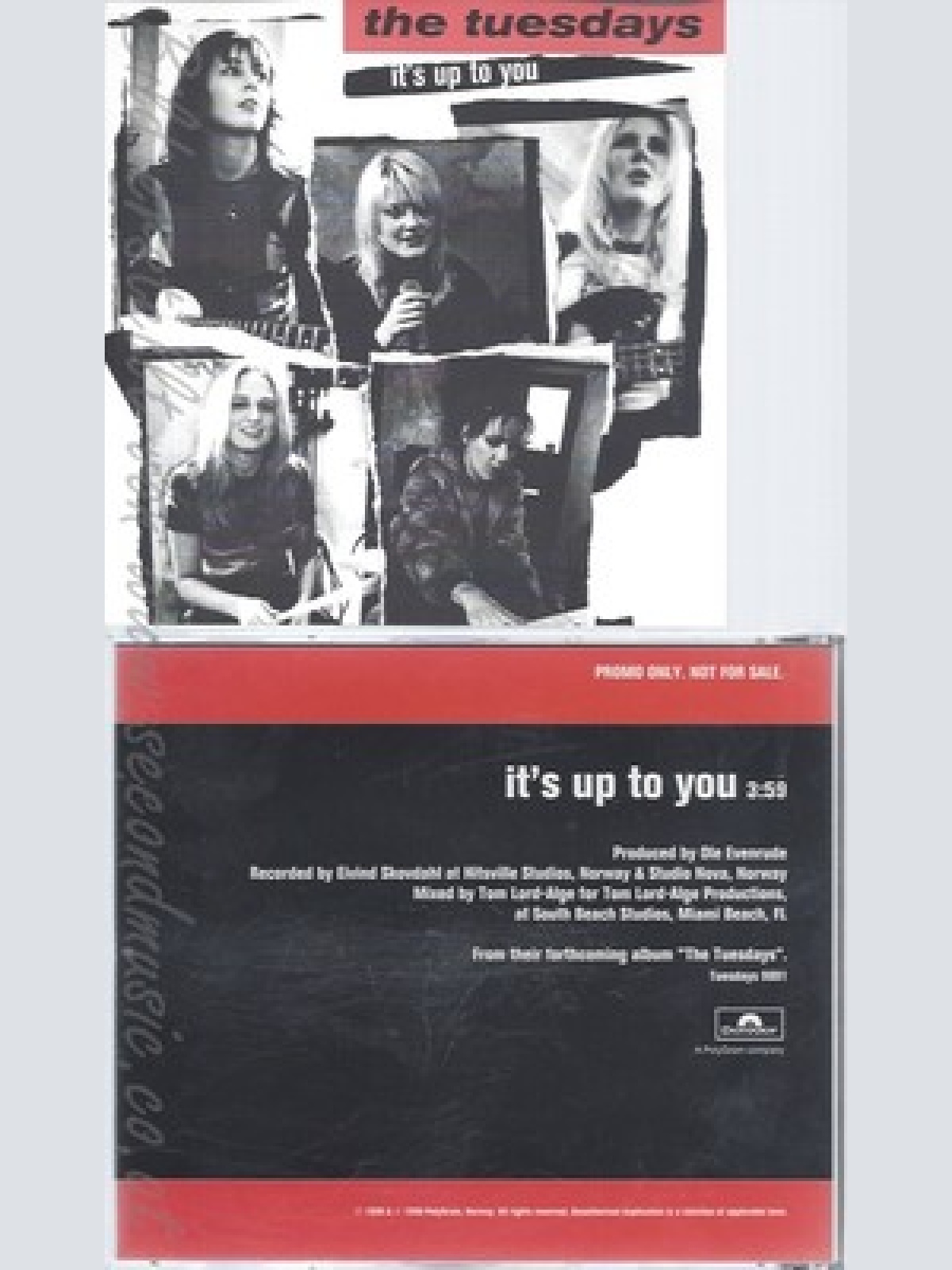CD--THE TUESDAYS--IT'S UP TO YOU--PROMO
