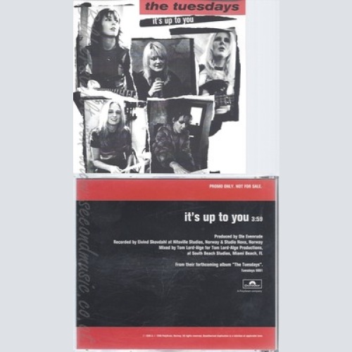 CD--THE TUESDAYS--IT'S UP TO YOU--PROMO