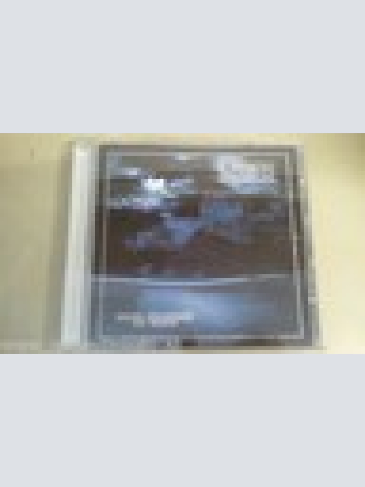 CD--INRUINS--FOUR SEASONS OF GREY --1998  --ALBUM