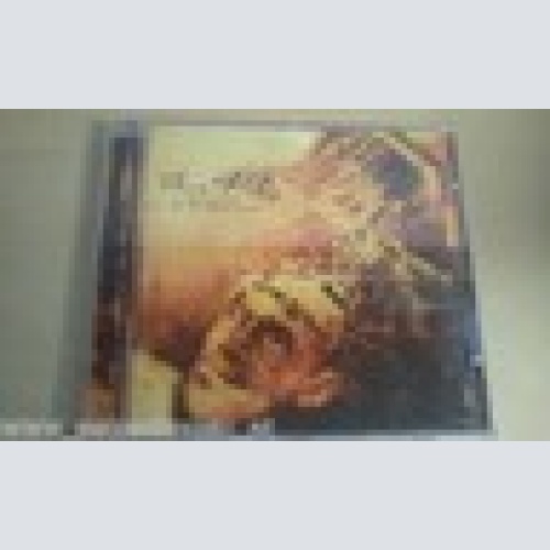 CD--SINCE THE DAY --EL MENSJERO NO ES IMPORTANTE-ALBUM