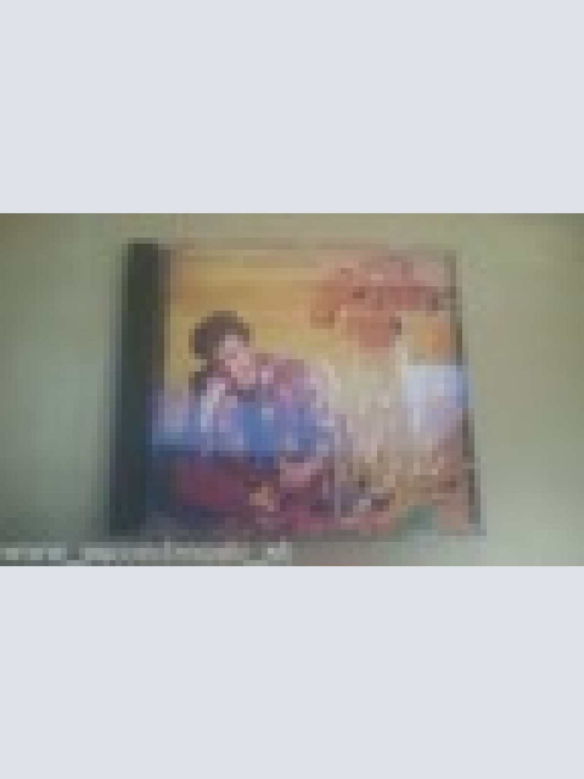 CD--FRANK BOEIJEN--WILDE BLOEMEN  --ALBUM