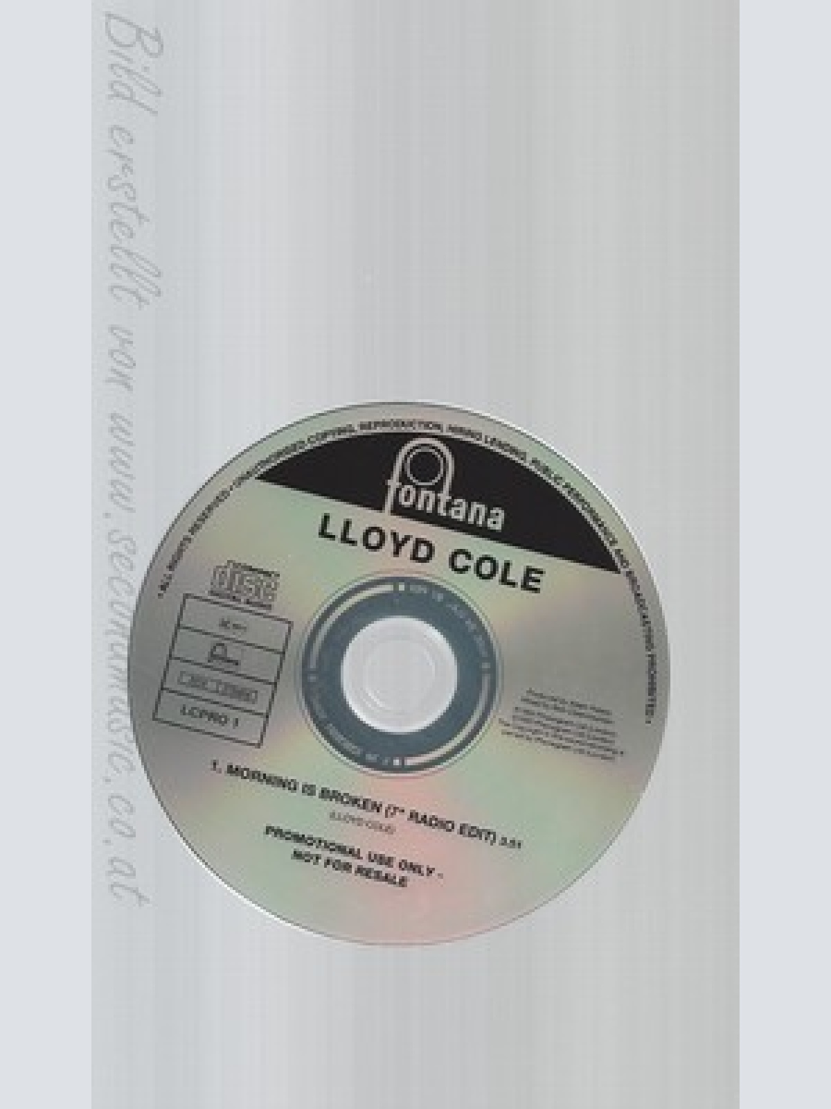 CD--LLOYD COLE--MORNING HAS BROKEN--PROMO