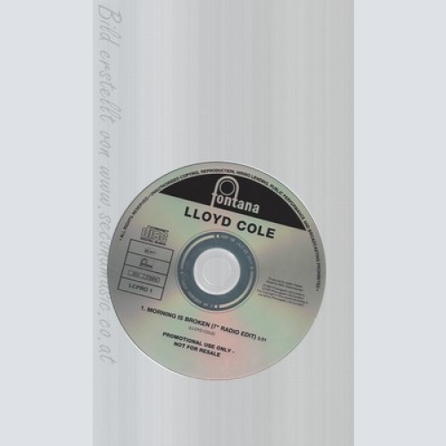 CD--LLOYD COLE--MORNING HAS BROKEN--PROMO