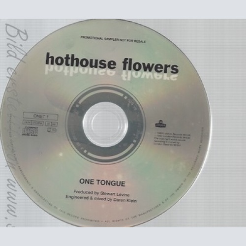 CD--HOTHOUSE FLOWERS--ONE TONGUE--PROMO