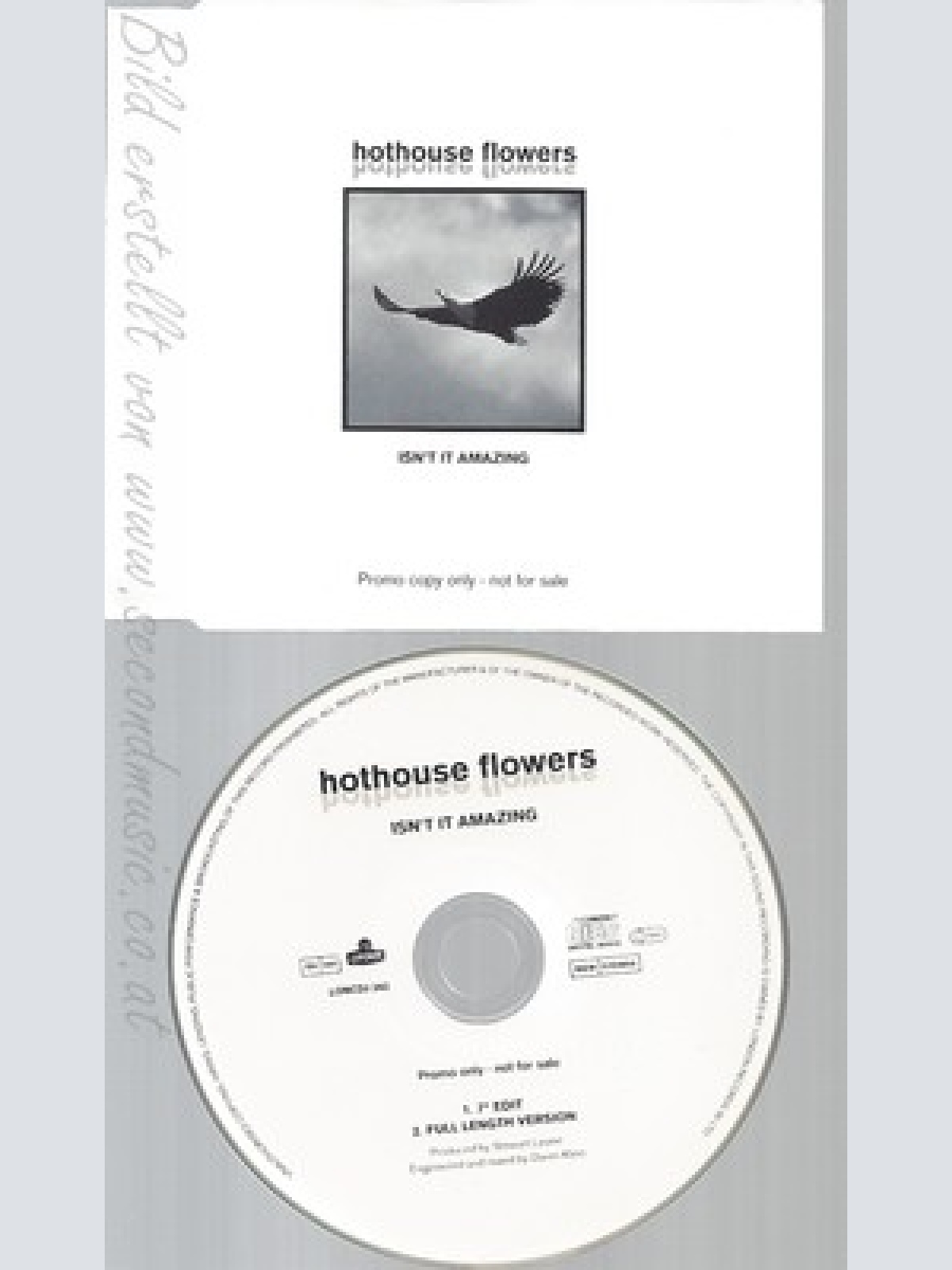 CD--HOTHOUSE FLOWERS--ISN'T IT AMAZING--PROMO