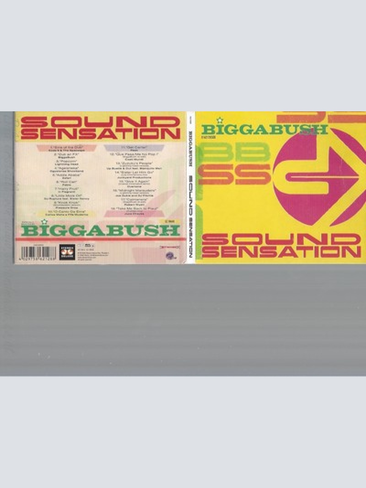 CD--GLYN "BIGGA" BUSH -- -- BIGGABUSH-SOUND SENSATION