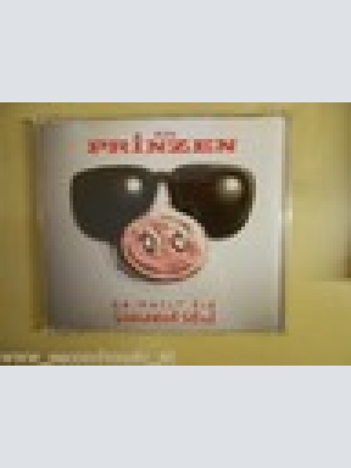 MAXI CD-- DIE PRINZEN --DU MUSST EIN SCHWEIN SEIN --4 TRACKS
