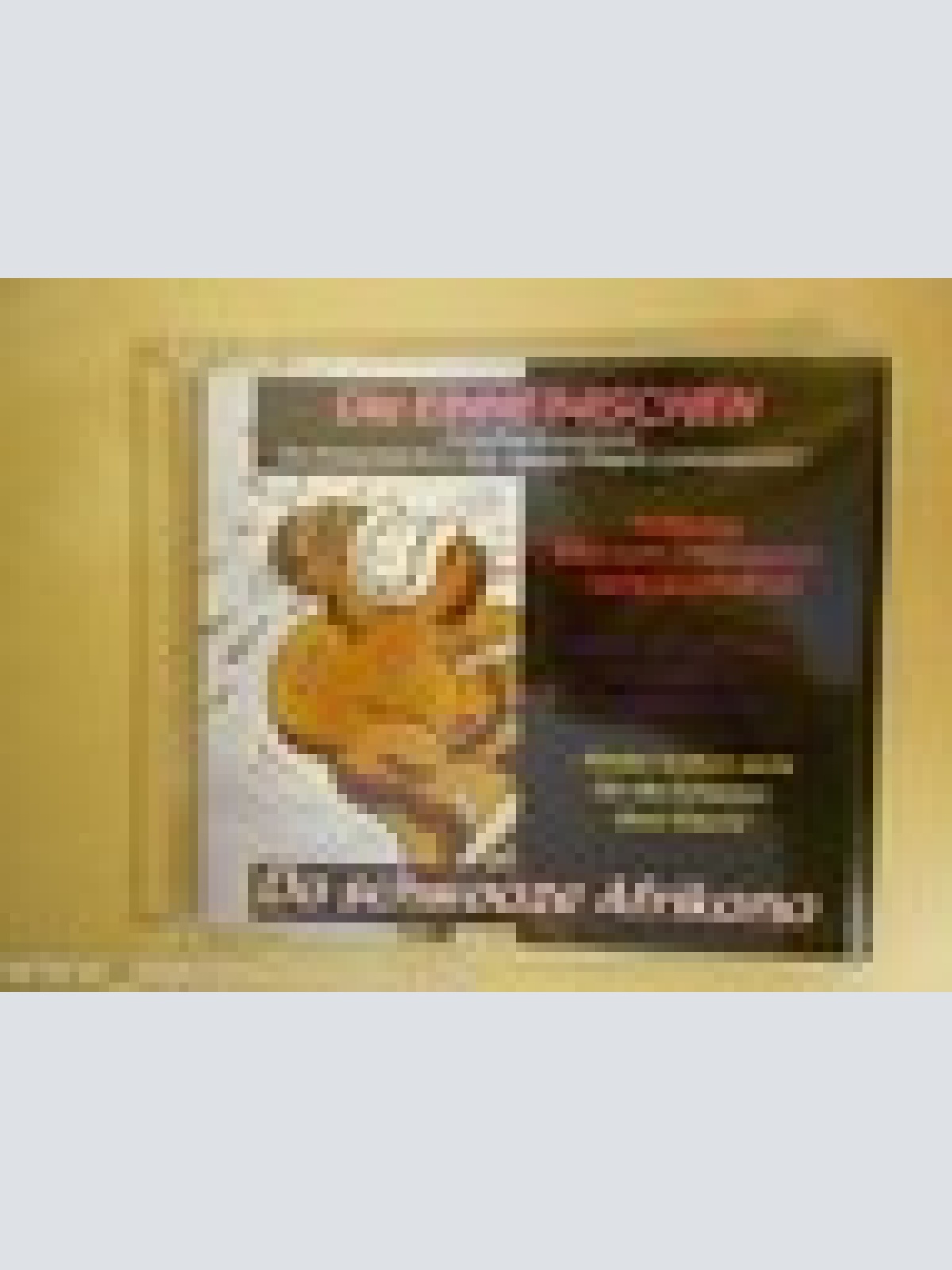 MAXI CD-- DIE EINHEIMISCHEN --DA SCHWOAZE AFRIKANA-- TRACKS--