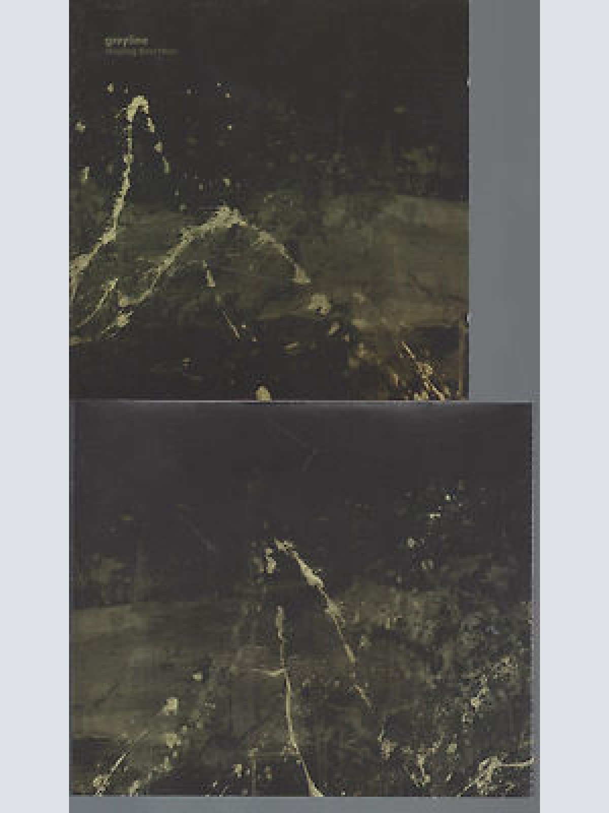 CD-GREYLINE--SHAPING DIRECTIONS