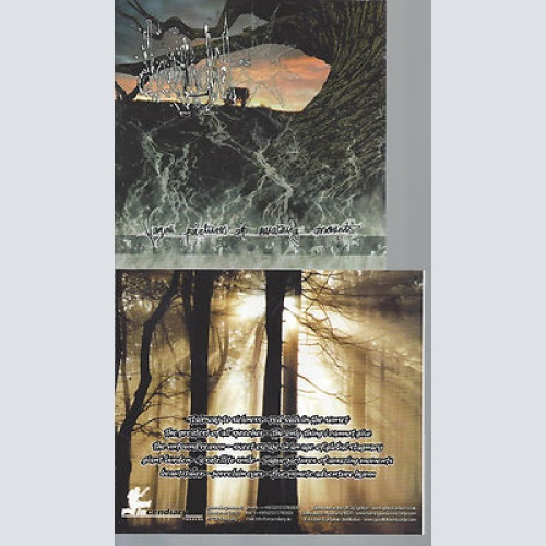 CD--DAYLIGHT VAGUE PICTURES OF AMAZING MOMENTS