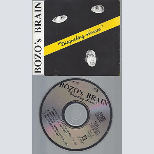 CD-BOZO'S BRAIN--DISGUSTING HEROES