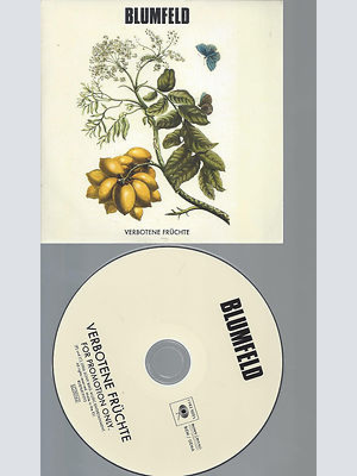 CD-THE GO TEAM LADYFLASH--PROMO