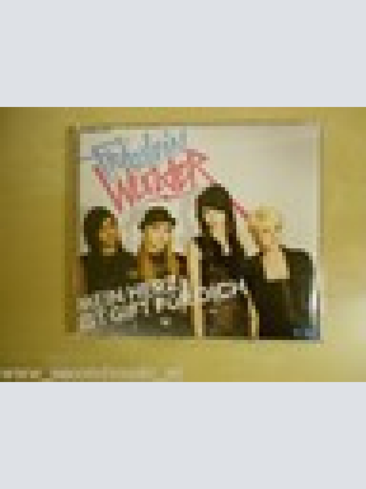 MAXI CD--FRÄULEIN WUNDER-- MEIN HERZ IST GIFT FÜR DICH --2  TRACKS