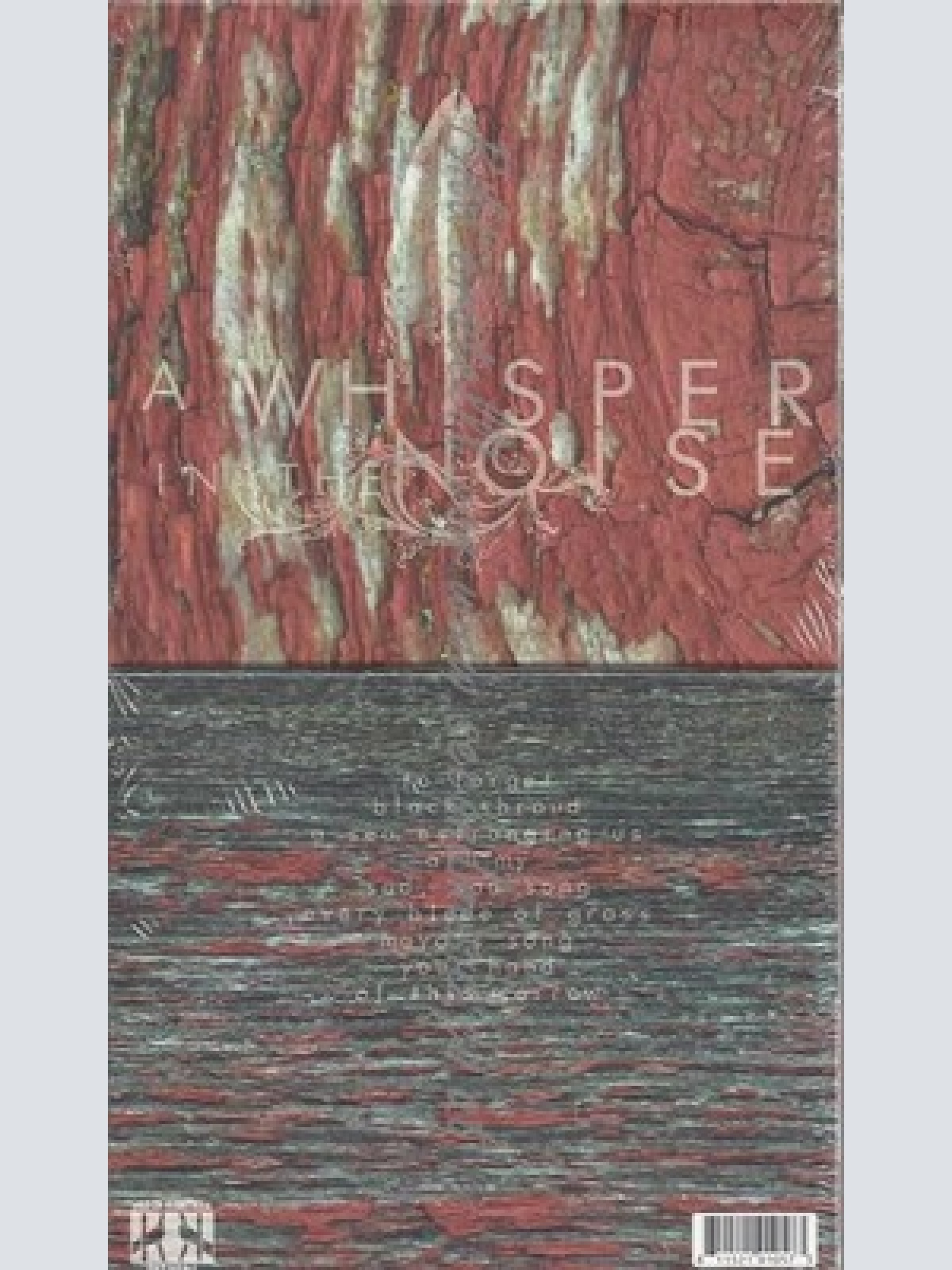 CD--A WHISPER IN THE NOISE--TO FORGET