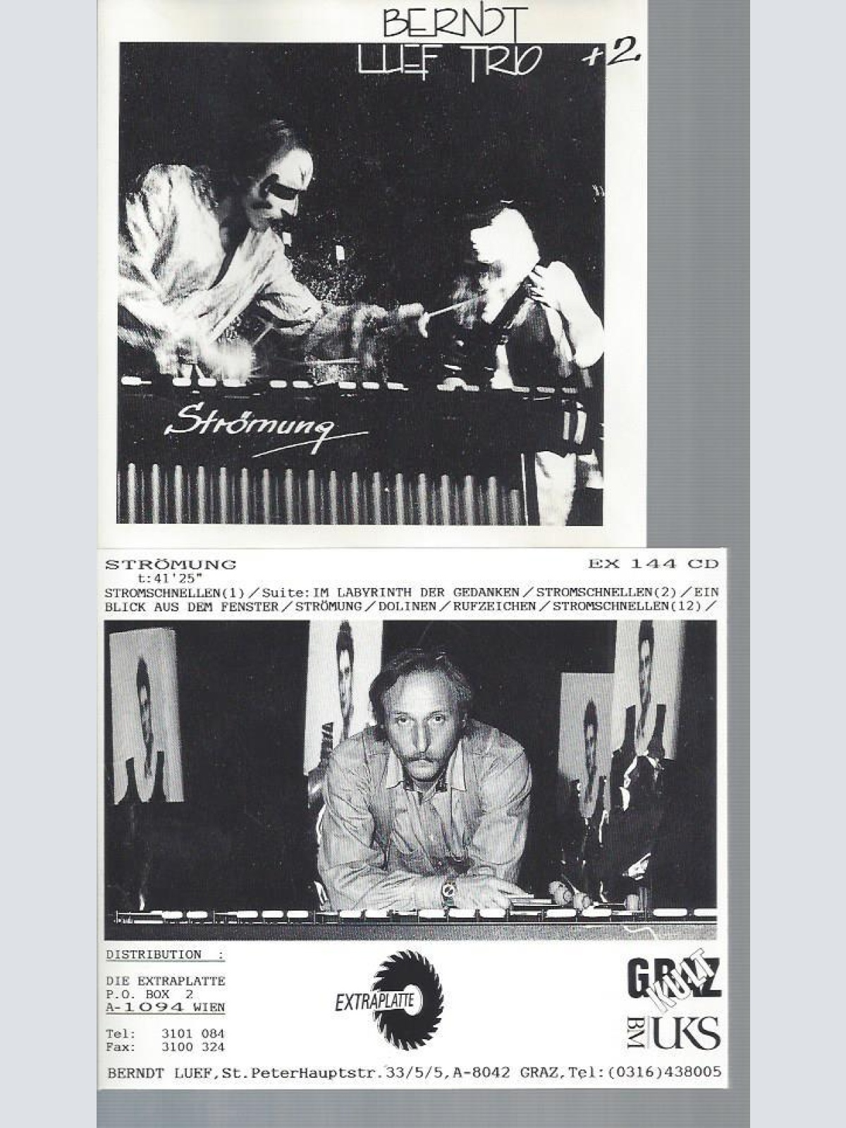 CD--BERNDT LUEF TRIO STRÖMUNG