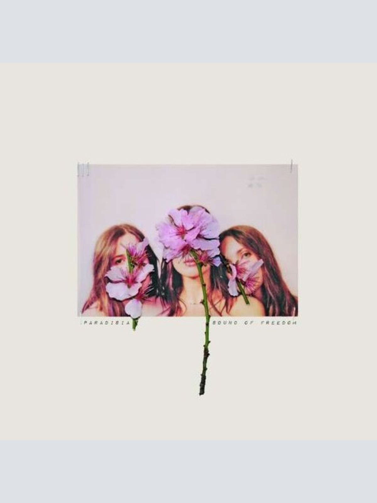 CD, Album Paradisia - Sound of Freedom