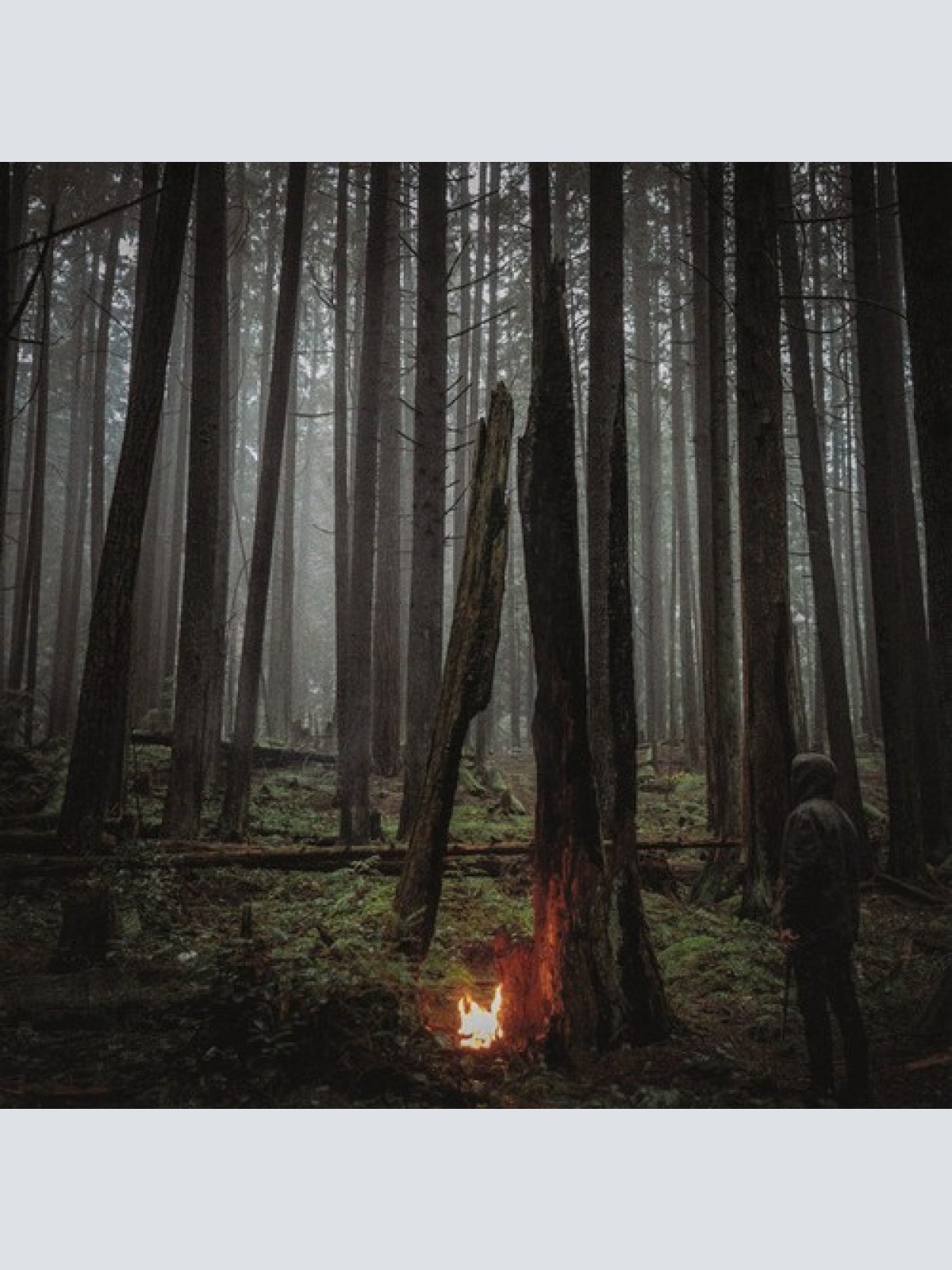 CD, Album Baptists - Beacon Of Faith