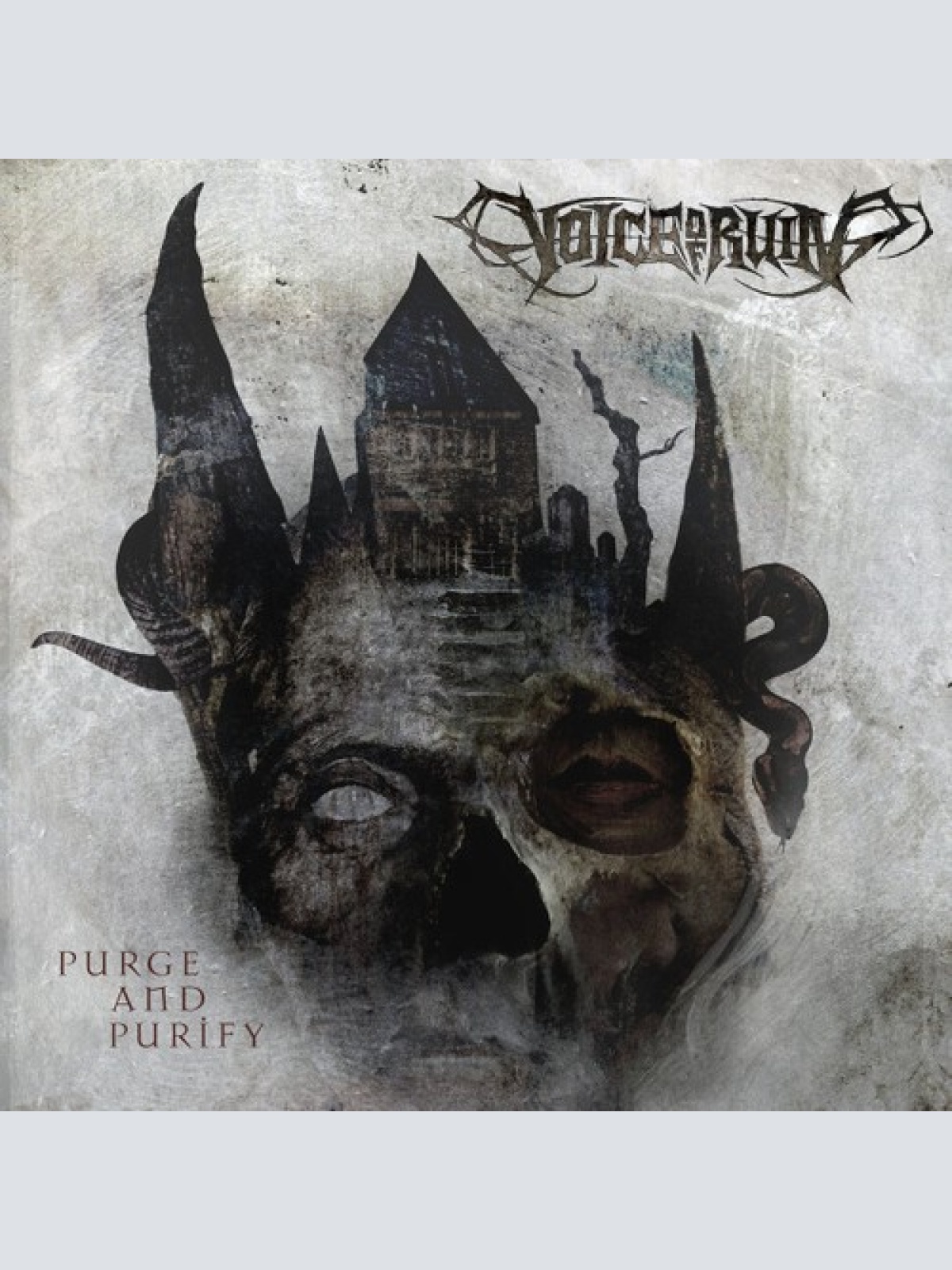 CD, Album Voice Of Ruin - Purge And Purify