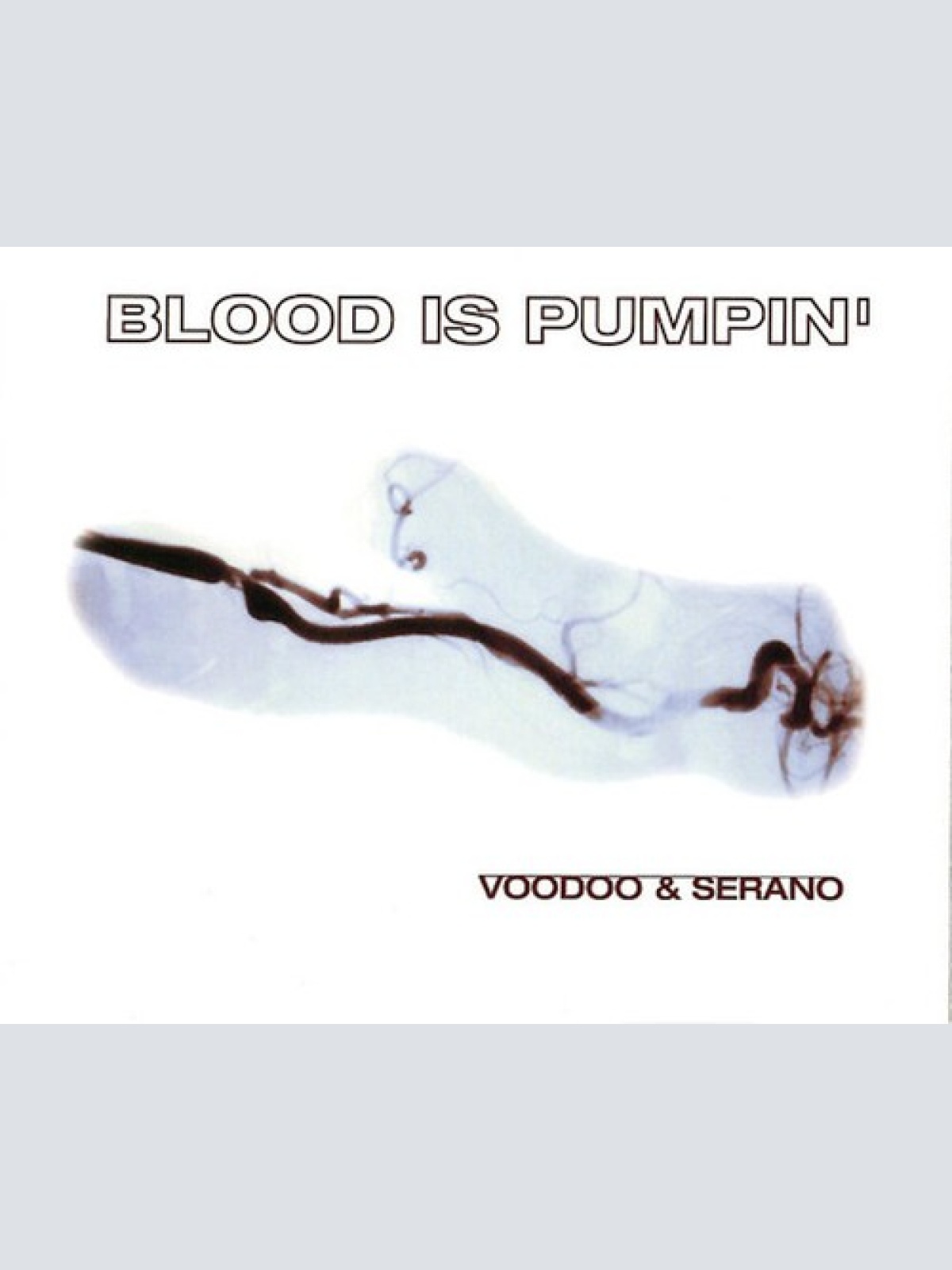 CD, Maxi Voodoo & Serano - Blood Is Pumpin'