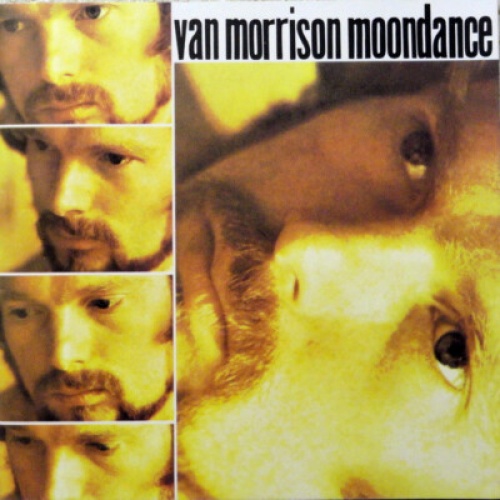 CD, Album, RE Van Morrison - Moondance