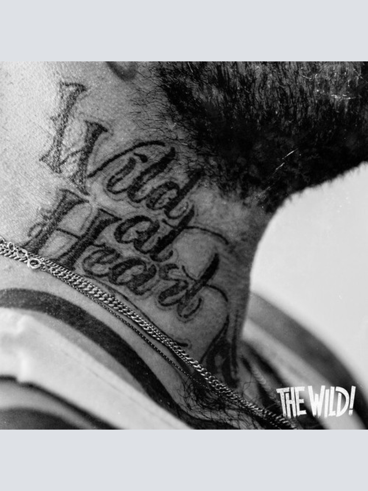 CD, Album, dig The Wild! - Wild At Heart